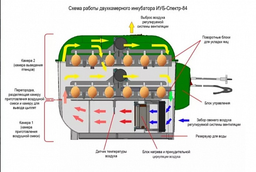 Инкубатор наседка 1 1992 года инструкция схема